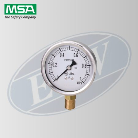 Gauge Assy, G1 IND, RC, 2216, SP
