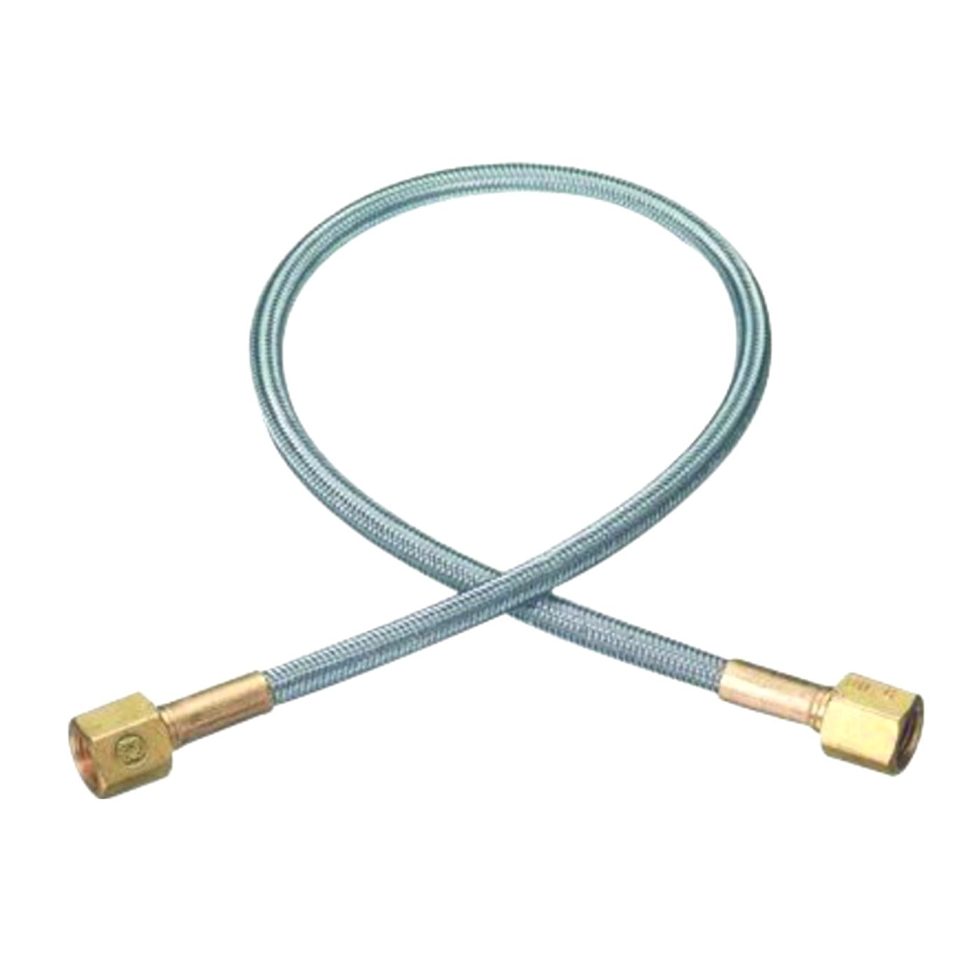 Western FLEXIBLE PIGTAIL 1/4"F SS/120"