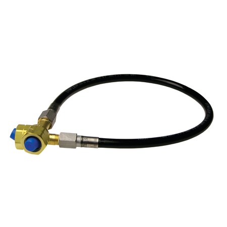 Western PIGTAIL/CGA 350/24"