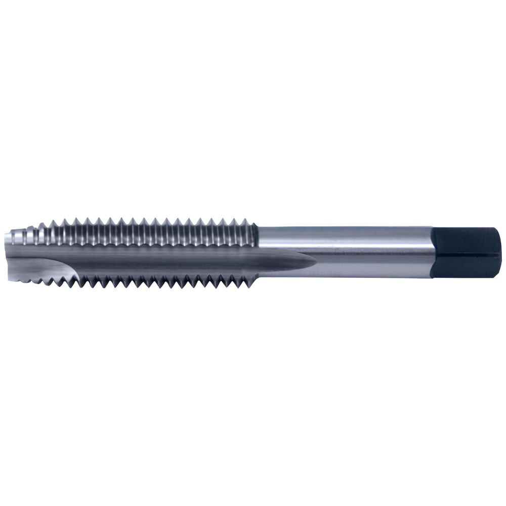M8X1.25 6" EXT 3FL D11 SPPT PLUG HSS BRT
